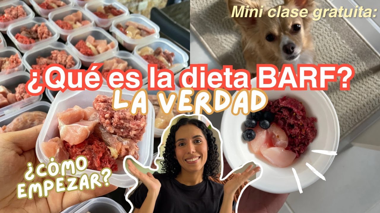 &iquest;Qu&eacute; es la dieta BARF para perros? 🥩 C&Oacute;MO EMPEZAR - orejasynarices