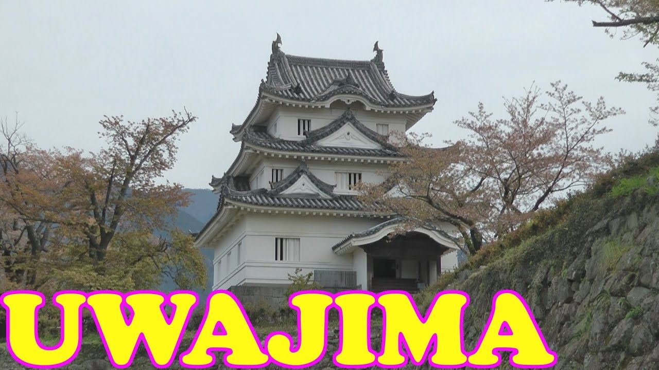 Uwajima Castle in Cherry Blossom Season, Ehime 🏯 宇和島城 🏯 Japan As It Truly Is