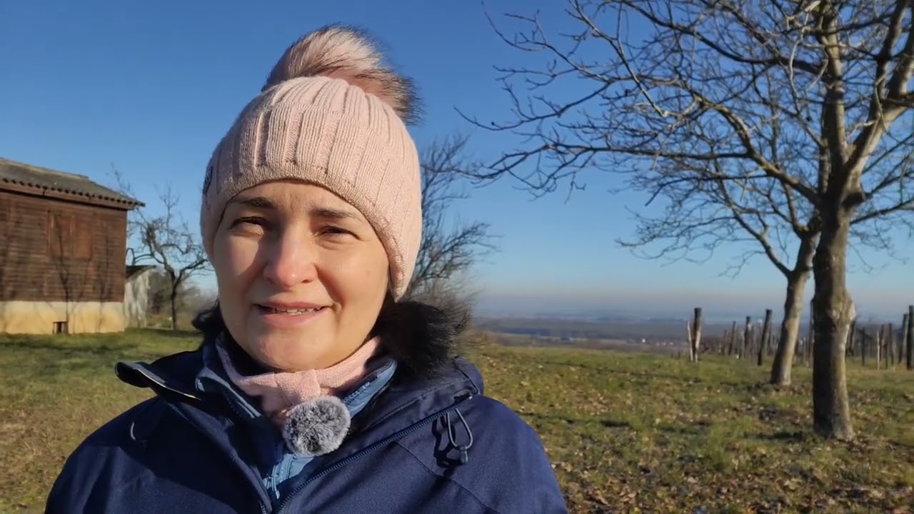 Почему я отдыхаю в Венгрии. Термальная купальня в Залакарош  и 
