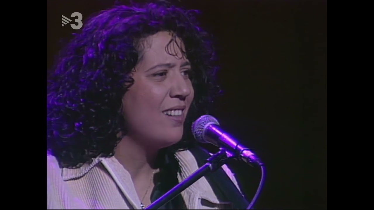 SI TÚ NO ESTÁS, LA MARATÓ DE TV3 1996