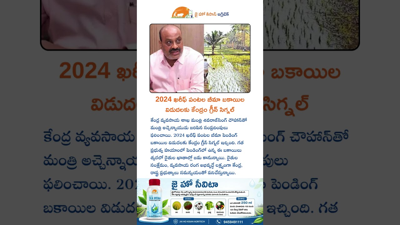 2024 ఖరీఫ్ పంటల బీమా బకాయిల విడుదలకు కేంద్రం గ్రీన్ సిగ్నల్ #telugu #agriculture #viralvideo