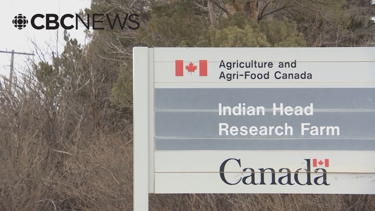 Indian Head, Sask., worried as farm research centre set to close