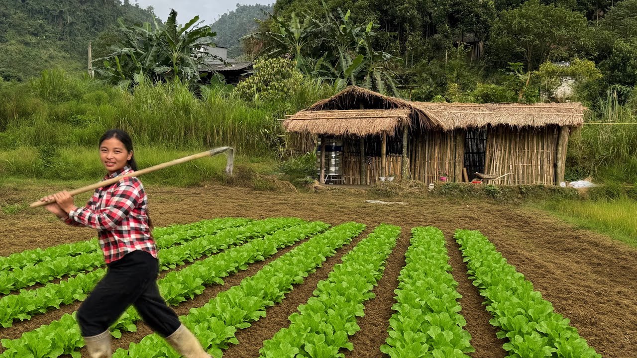 Linda started growing vegetables for her new life – her chayote became a market favorite.