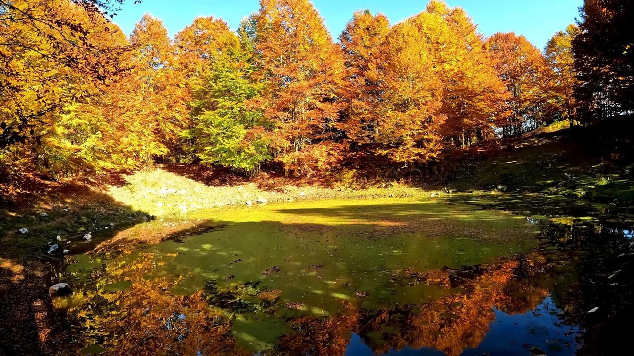 Sentiero Croseraz-Cansiglio 01. Foliage MTB