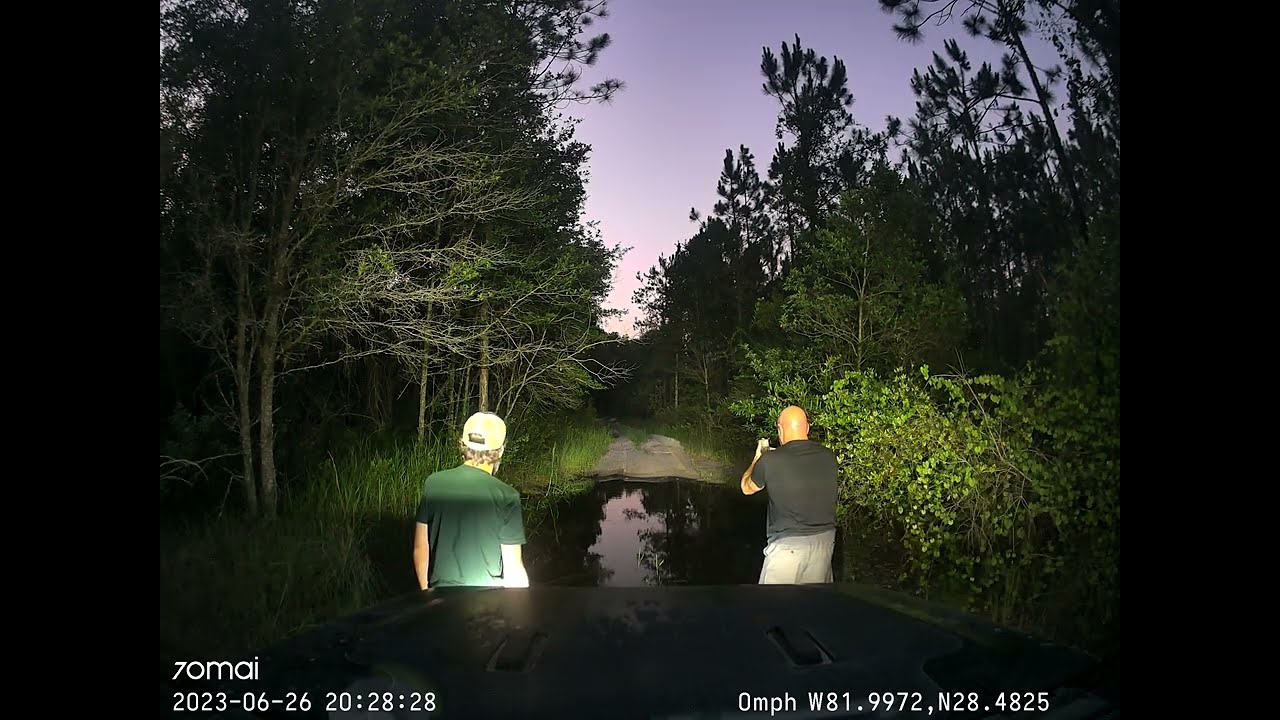 4+ Hour Drive Through Richloam Wildlife Management Area - Florida Off-road