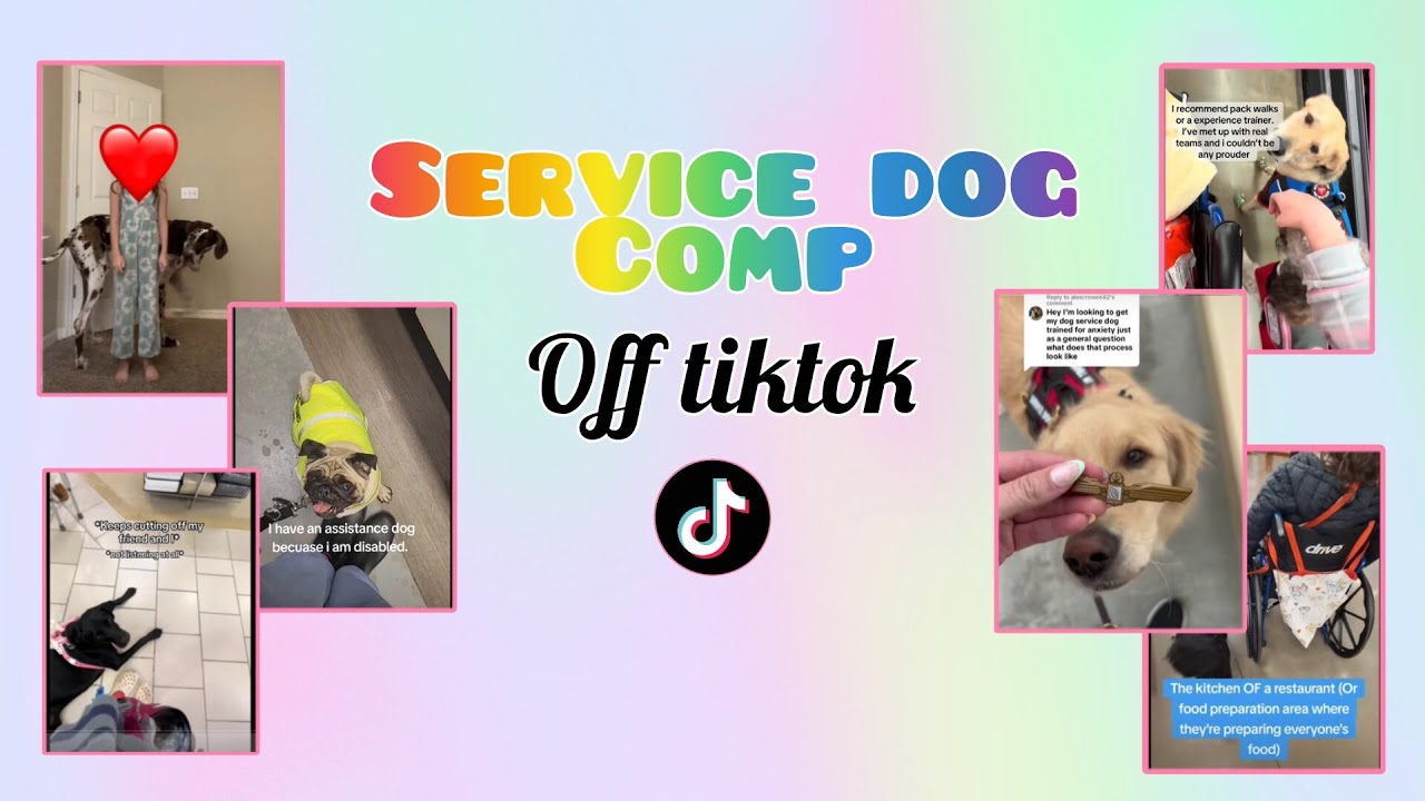 Service dogs of tiktok comp! Credits to original owners
