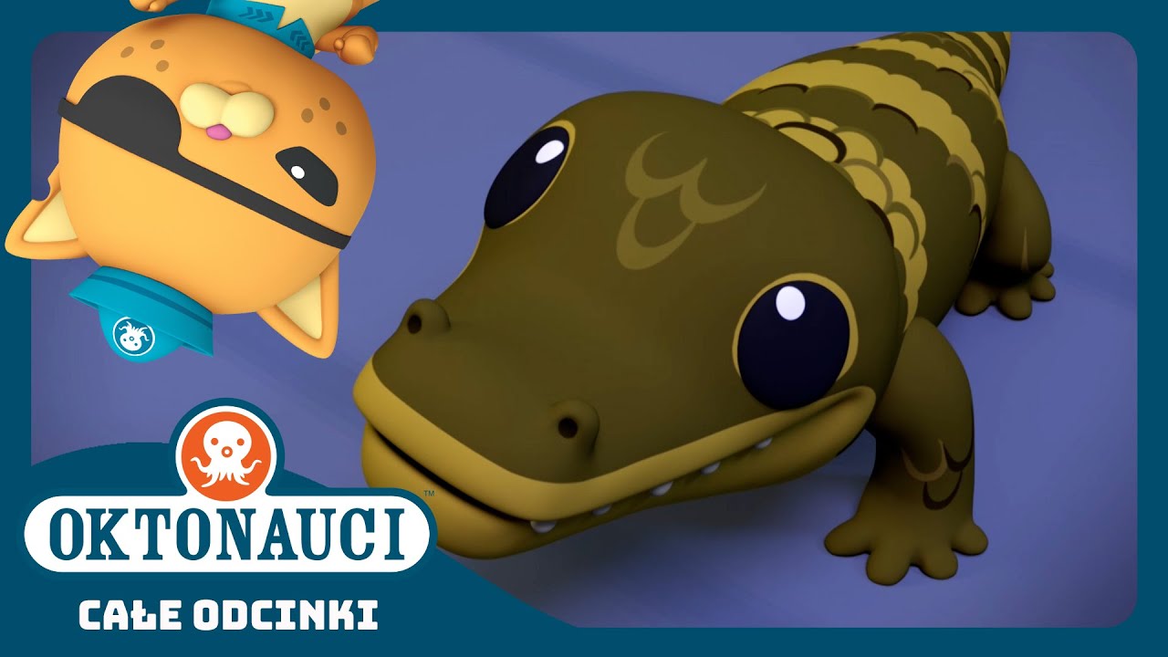 Oktonauci - 😻 I mały aligator 🐊 | Cały odcinek 12 | Seria 4