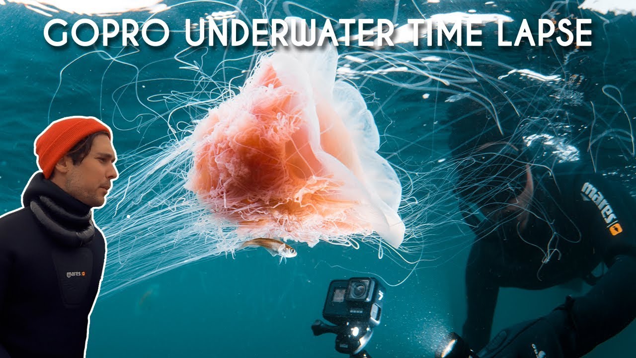 5 tips for GoPro underwater time lapses | Sm&ouml;gen Dyk & Upplevelse