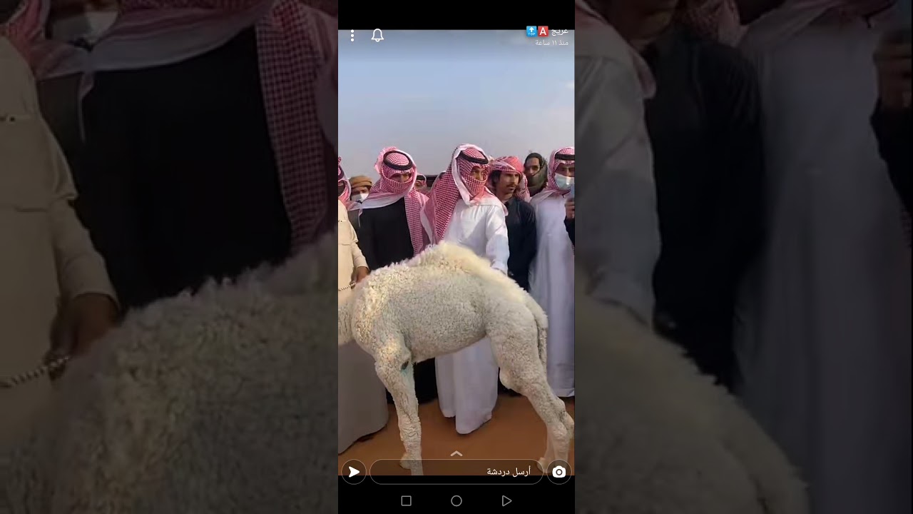 بيع حواره في سيدة الصياهد ب ١٥٠ الف  *العام*