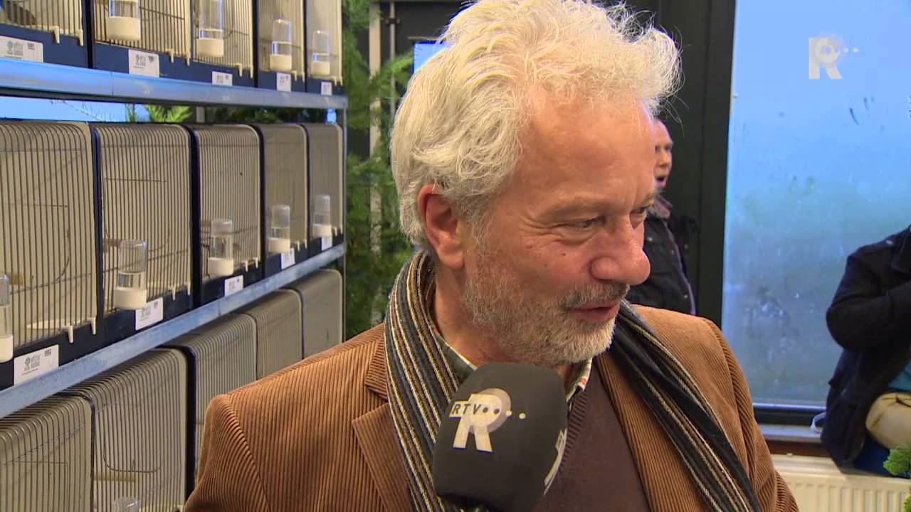 Kwetterende kanaries gaan strijd aan in Dordrecht