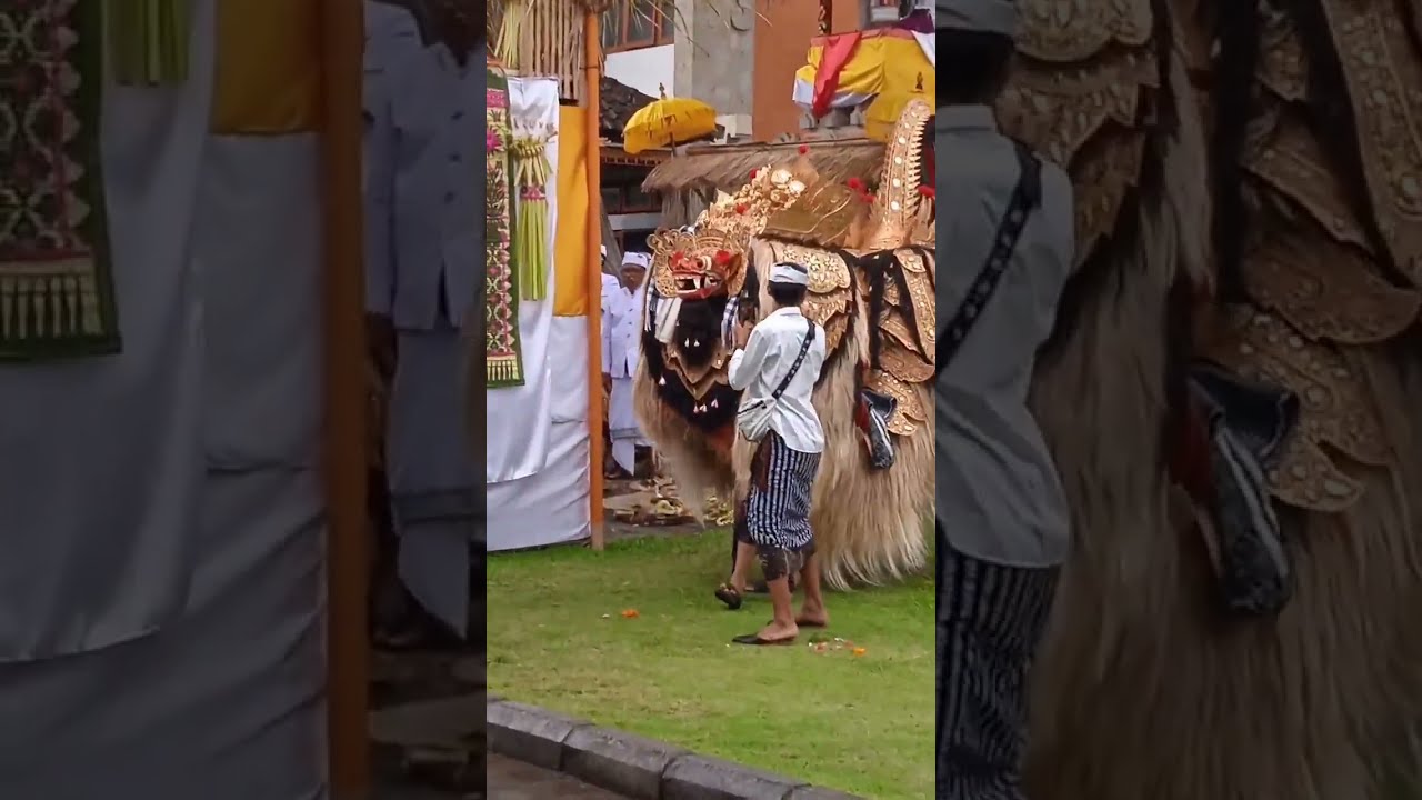 Barong Jalan di bawah hujan ISI Denpasar #seni #barong #barongan #isi #isidenpasar #shorts #bali