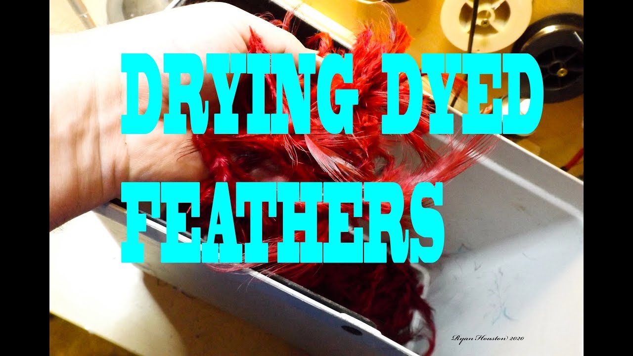 DRYING DYED FEATHERS FOR FLY TYING WITH RYAN HOUSTON
