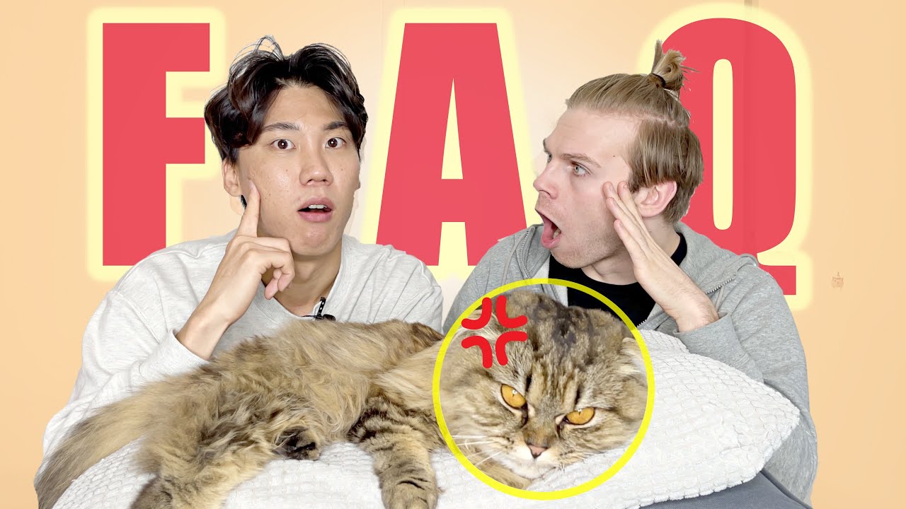 [🇰🇷&🇫🇷] FAQ : MARIAGE, RÊVES, FUTUR, ON VOUS DIT TOUT🥺