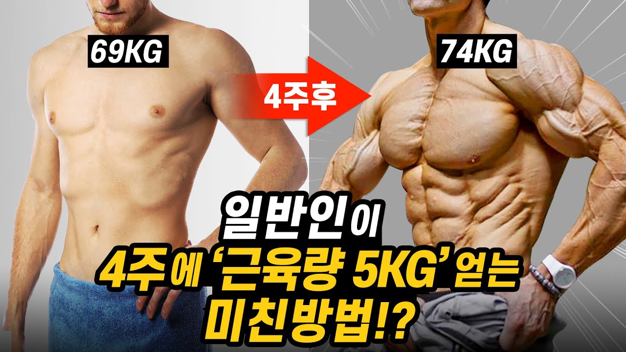 와.. 미쳤네!? 4주만에 '근육량 5kg'을 늘리는 미친 벌크업 루틴! (일반인을 위한 벌크업 프로그램)