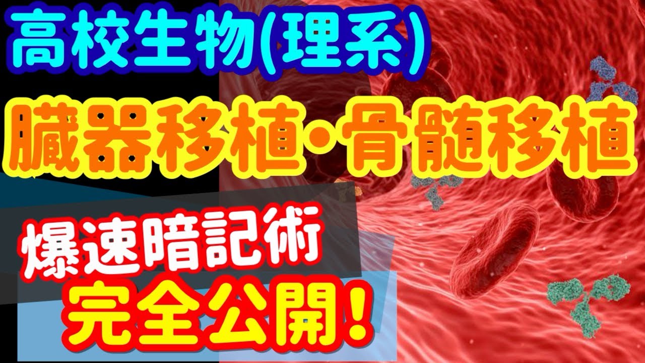 【高校生物 104】【臓器移植と骨髄移植の拒絶反応】を宇宙一わかりやすく