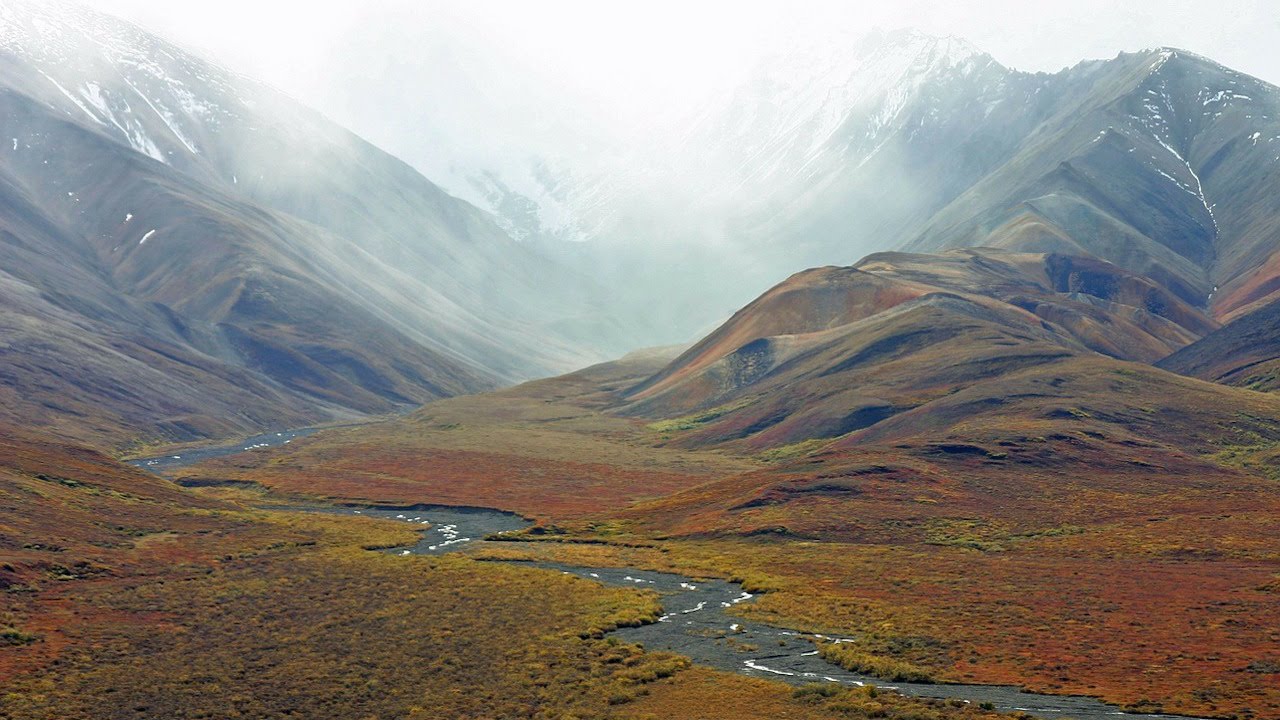 La Tundra