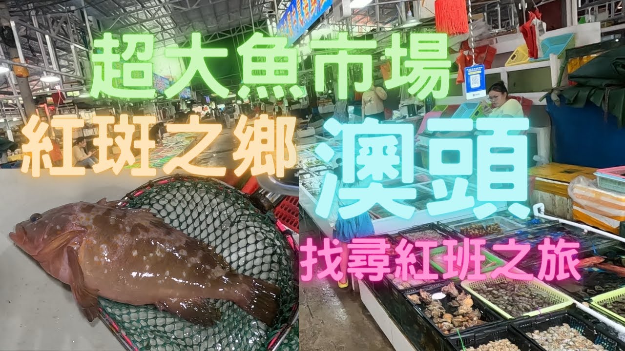 （休魚期前）澳頭：出名多紅斑,超大魚市場😍多野生魚,好多野睇,搵到超肥仔紅斑👍加工收費平~fishcutting香港海鮮~社長遊街市Seafood