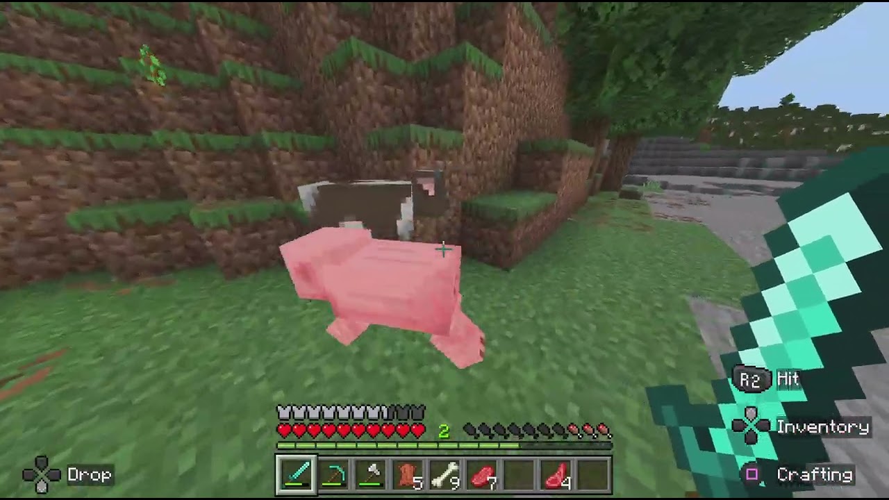 Minecraft|بناء الحضيره الحيوانات😍😍