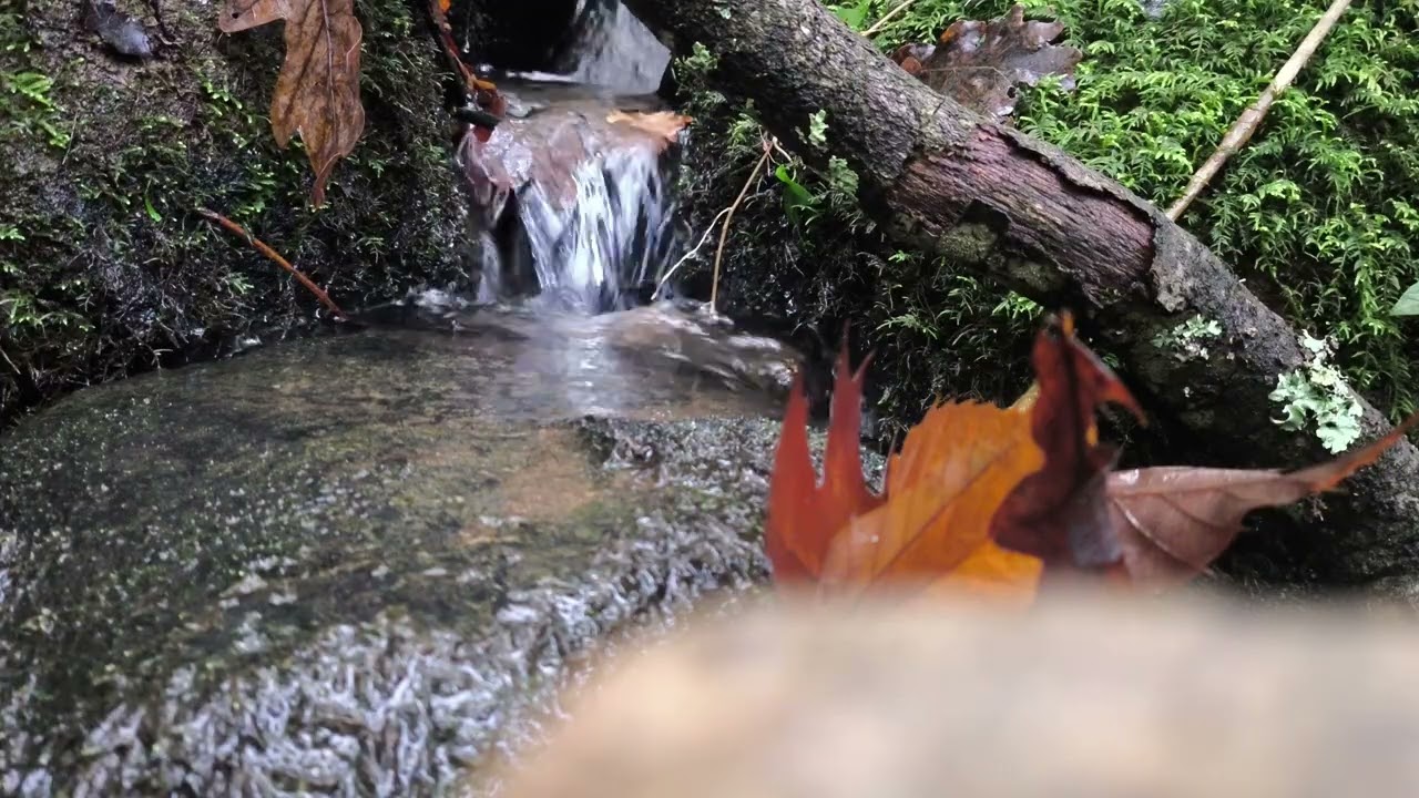 SONIDO DE AGUA RELAJANTE PARA DORMIR