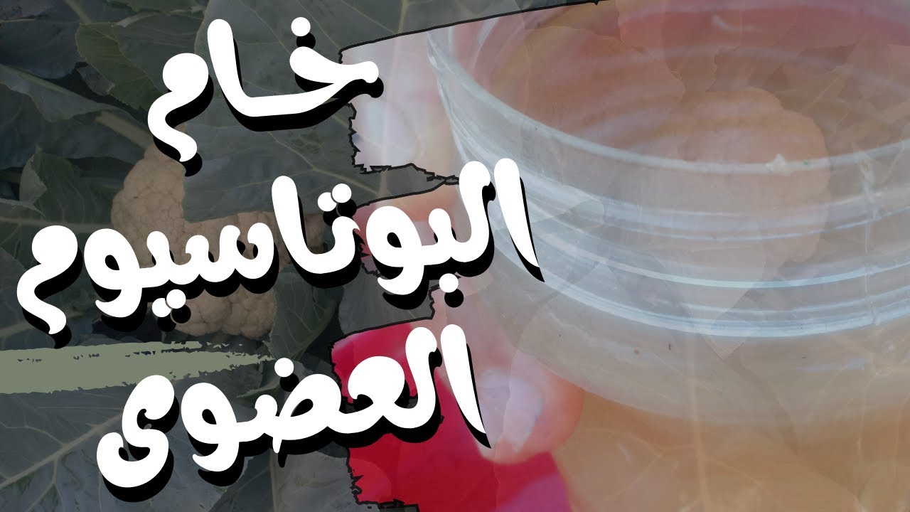 بوتاسيوم خام | تحضير محلول خام عنصر البوتاسيوم العضوى من مكون رخيص بالمنزل