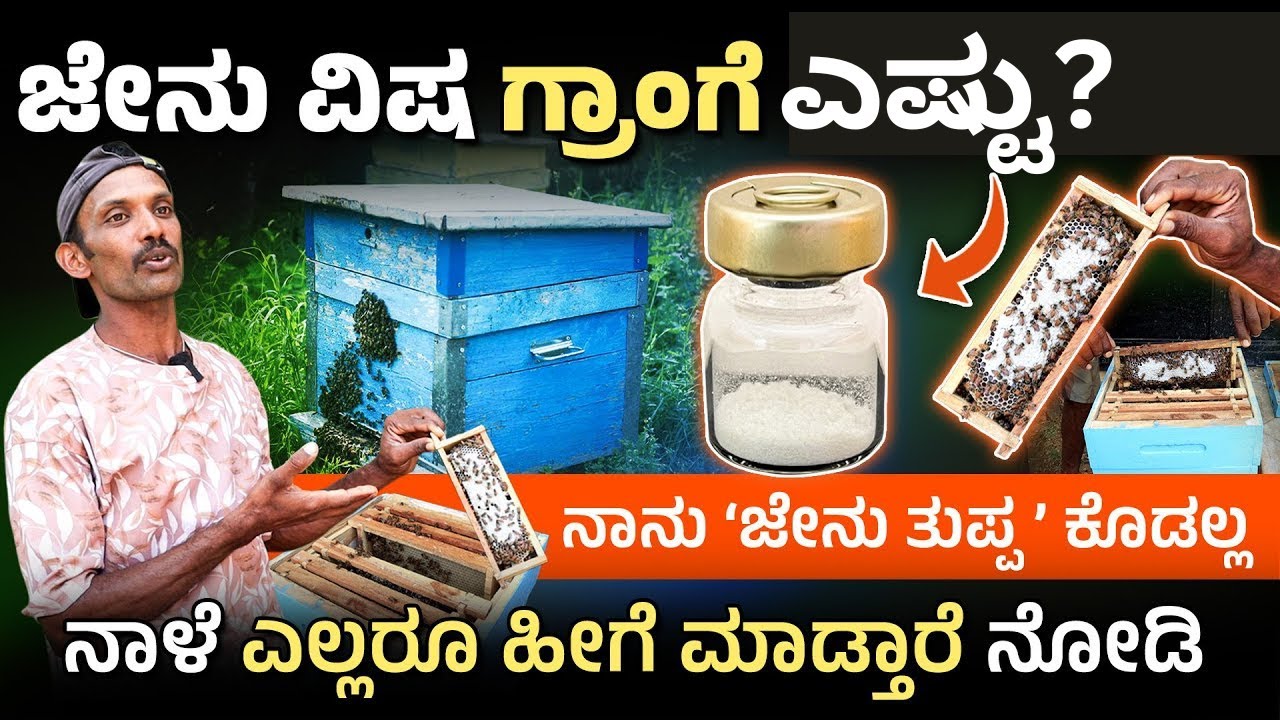 ಕೇವಲ ಜೇನು ಅಷ್ಟೆ ಅಲ್ಲ, ವಿಷವೂ ಲಾಭ | How to Start Honey Bee Farming in Kannada | Jenu Krushi 2025