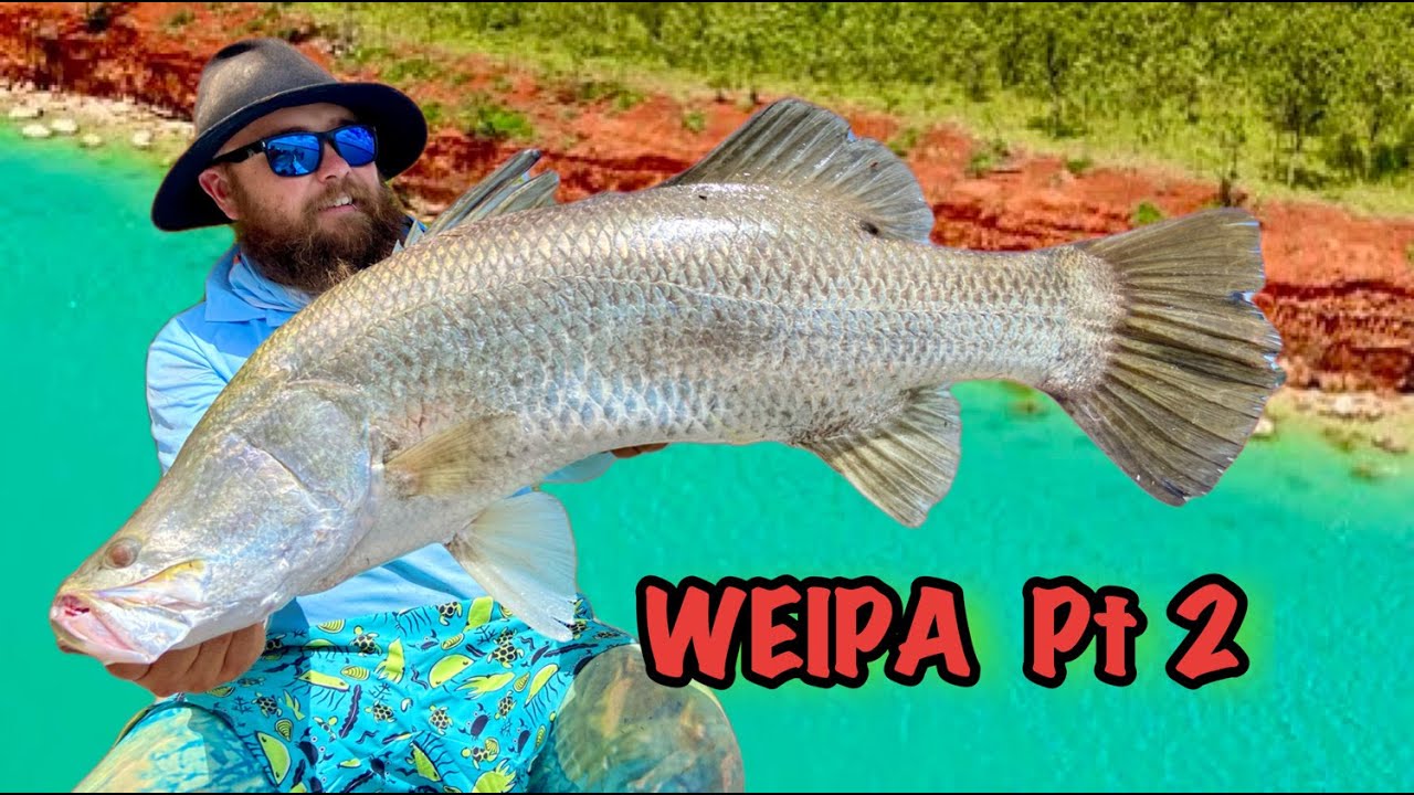 CRAZY BARRA FISHING WEIPA// The Cape Finale! ...Part 2