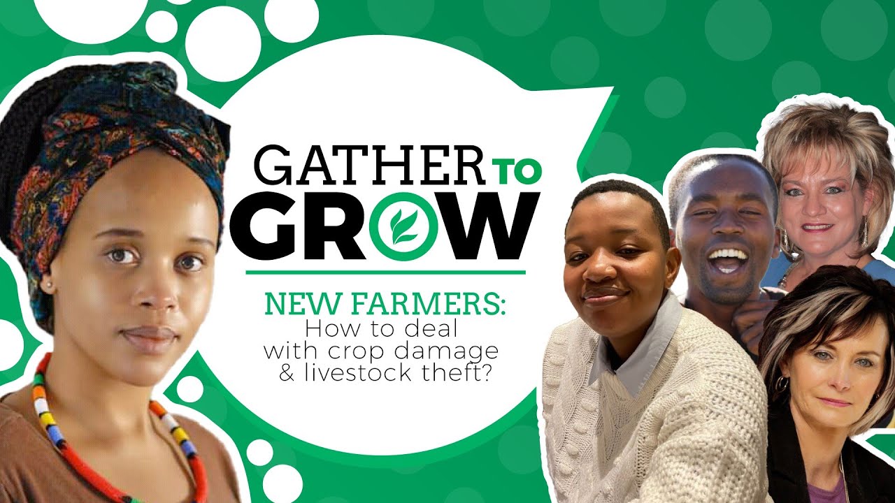 NEW FARMERS: How to deal with crop damage and livestock theft