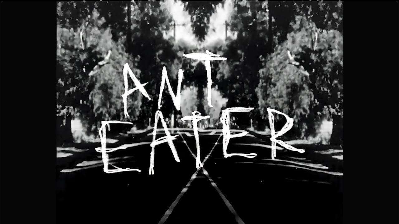Safari Zone - Anteater (Official Video)