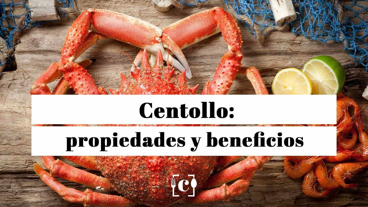 Centollo: propiedades, beneficios y valor nutricional