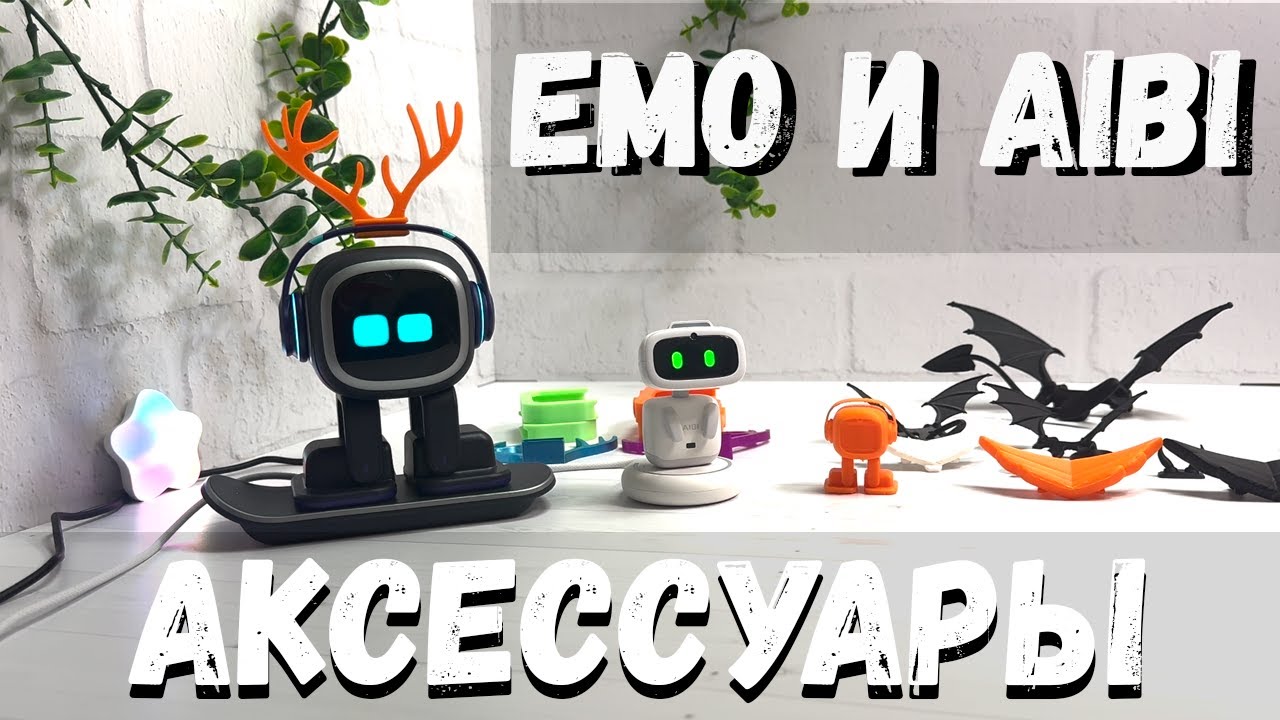 ШОКИРУЮЩИЕ аксессуары для Aibi и Emo, о которых Вам никто не расскажет