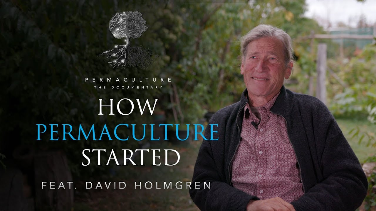 Permaculture The Documentary: How it started