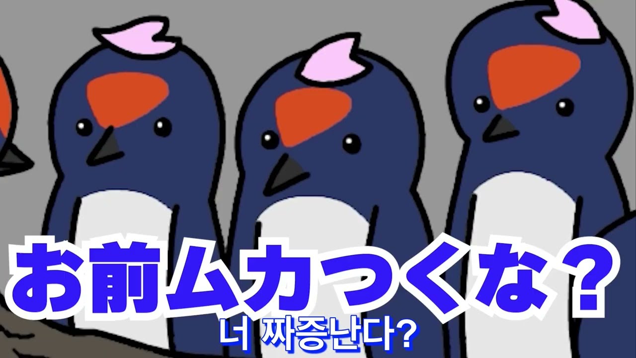 [FULL] 제비의 봄 | Swallow&rsquo;s Spring