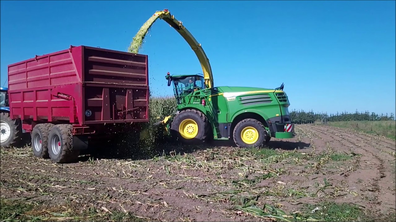 FD CUMA MORBIHAN - Ensilage maïs CUMA Liberté avec ensileuse John Deere 8400 UD CUMA septembre 2019