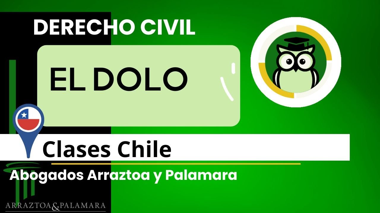 El dolo como vicio del consentimiento 😈 ⚖️  Clases de Derecho Civil Chile 🇨🇱 Arraztoa y Palamara