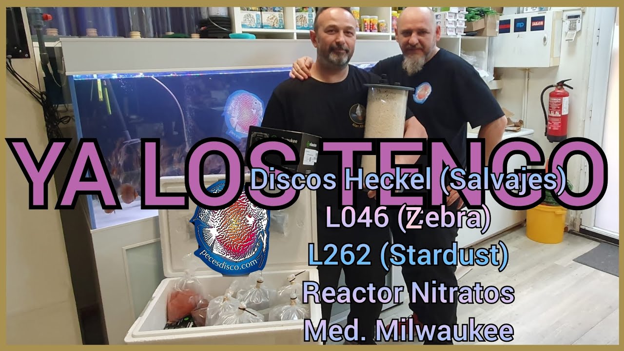 REACTOR DE NITRATO Y DISCOS SALVAJES | Me lo llevo todo