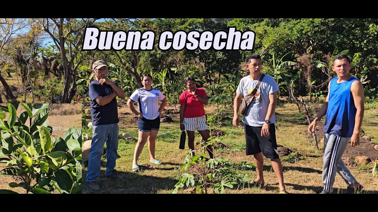 Llegamos al bonito huerto de Don Neto🌱🌞
