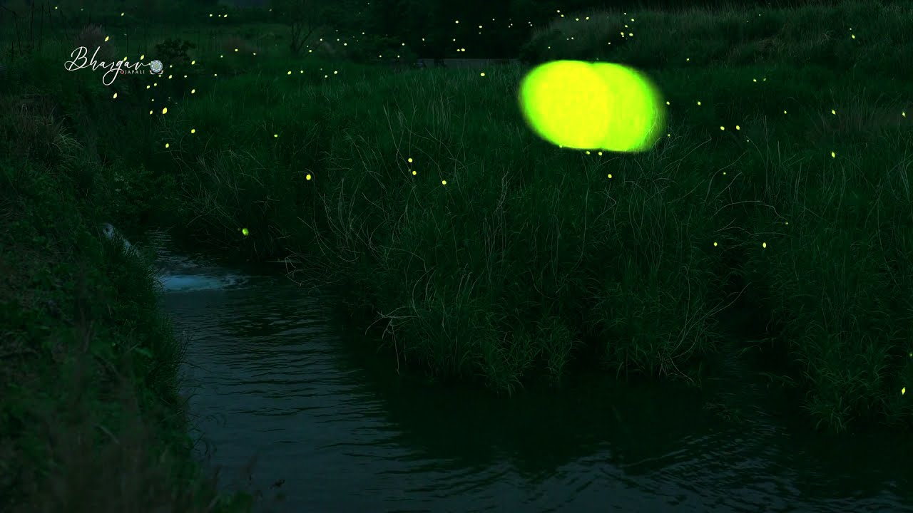 Bhargav Ojapali x Nikhil x Amarendra kalita - Mohona ( Official Visualizer )