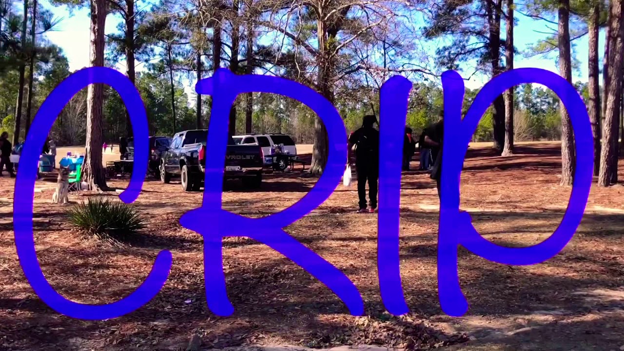 C.R.I.P ORGANIZATION DOCUMENTARY
