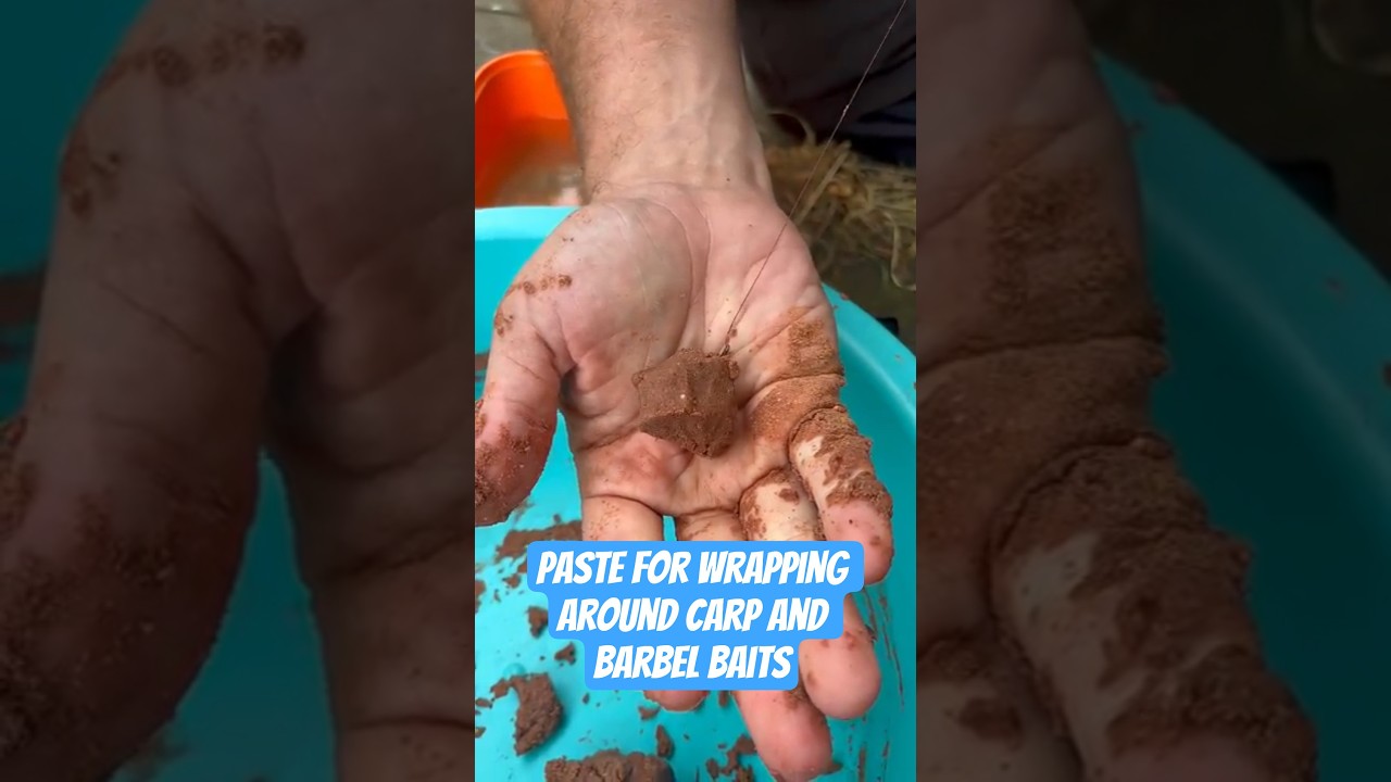 Making Paste for wrapping around Hook Baits for Barbel & Carp fishing
