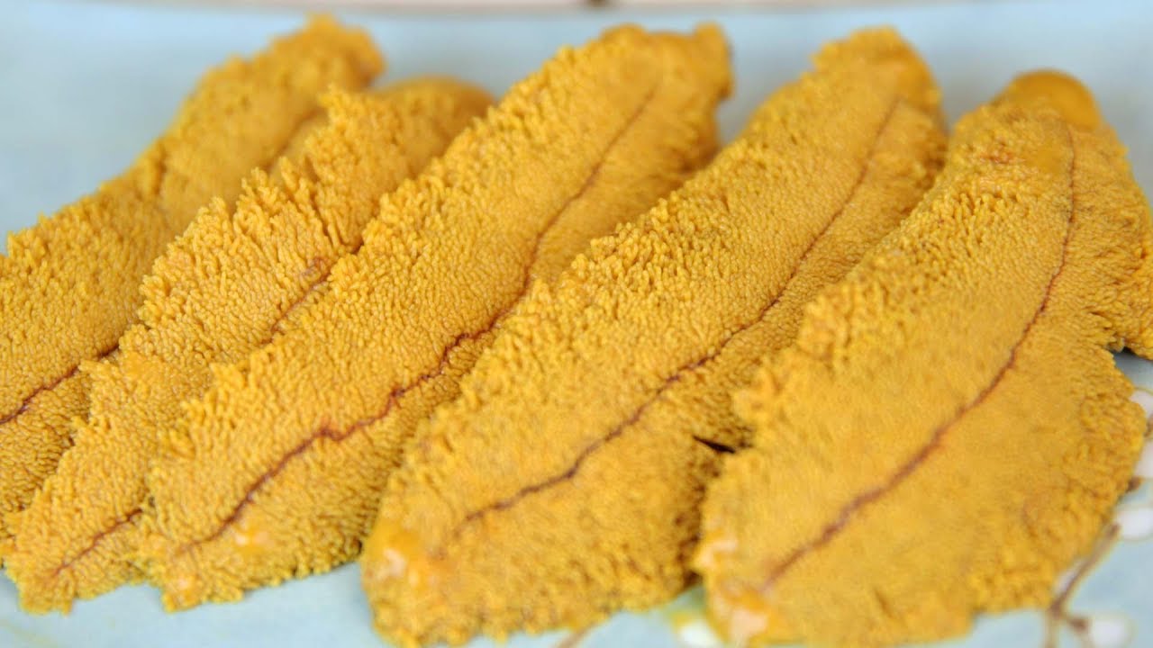 How to Prepare a Live Uni