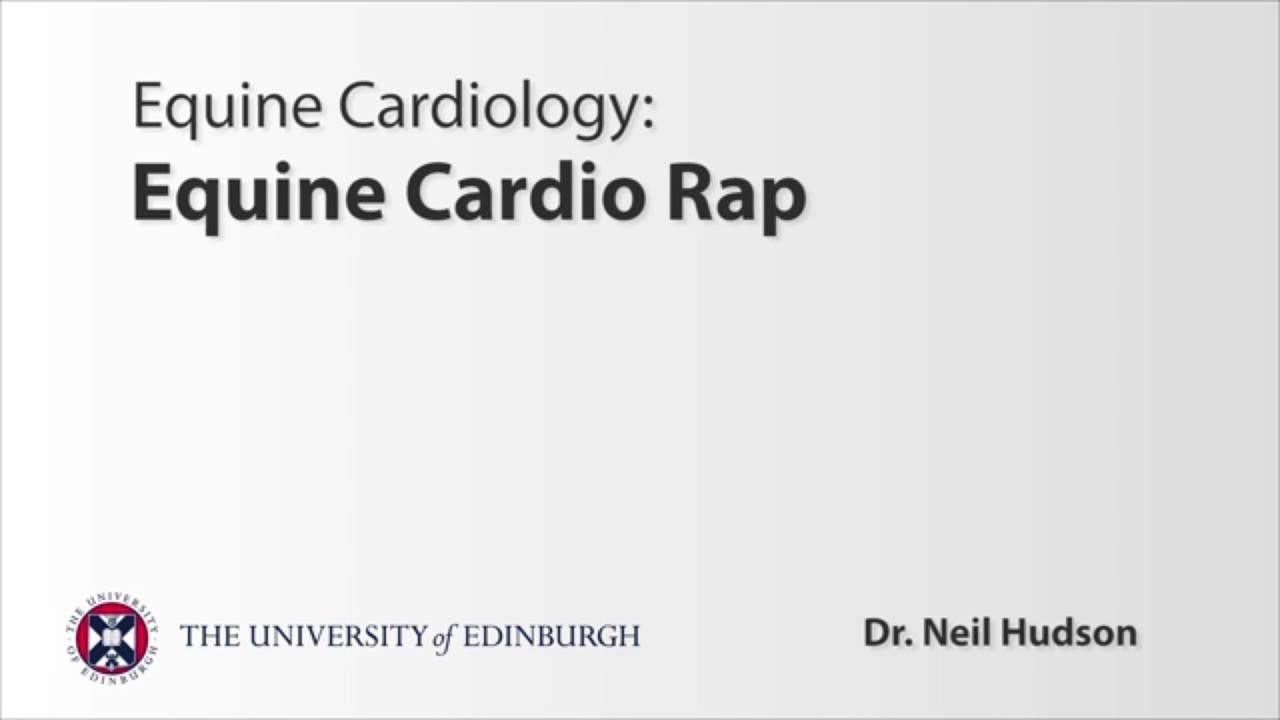 Equine Cardio Rap