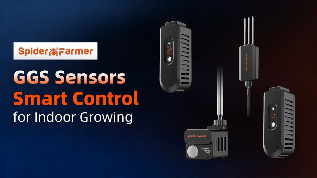 Why Sensors Matter in Smart Growing 🌱｜How Data Drives Better Plant Growth | Spider Farmer