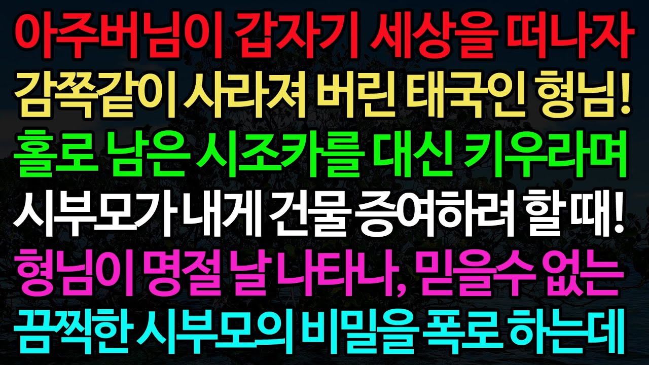 실화사연-아주버님이 갑자기 세상을 떠나자 감쪽같이 사라져 버린 태국인 형님! 홀로 남은 시조카를 대신 키우라며  시부모가 내게 건물 증여하려 할 때!/노후/사연/오디오북/인생이야기