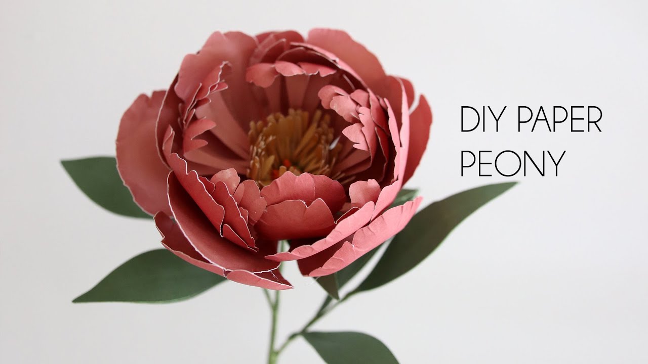 DIY Paper Peony (Cricut, Silhouette, paper flower crafts)