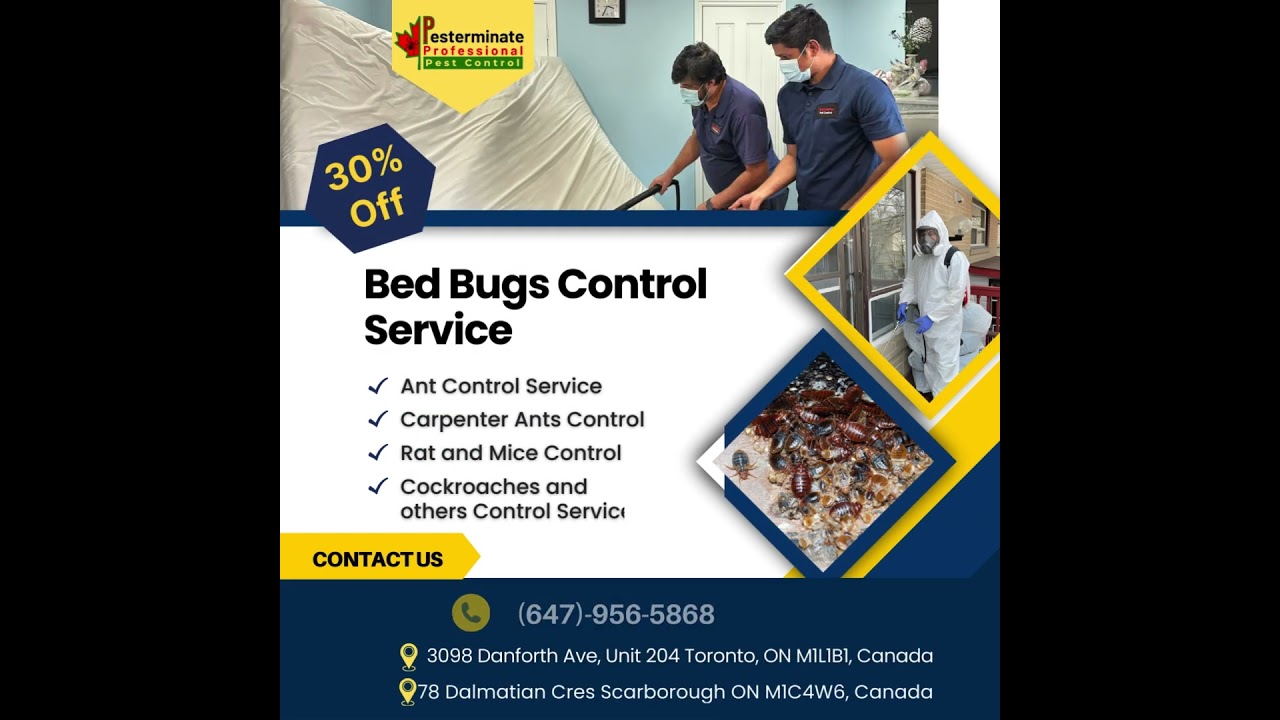 Bed Bugs Control Service in Scarborough, Toronto
