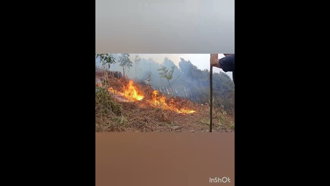 New farming 