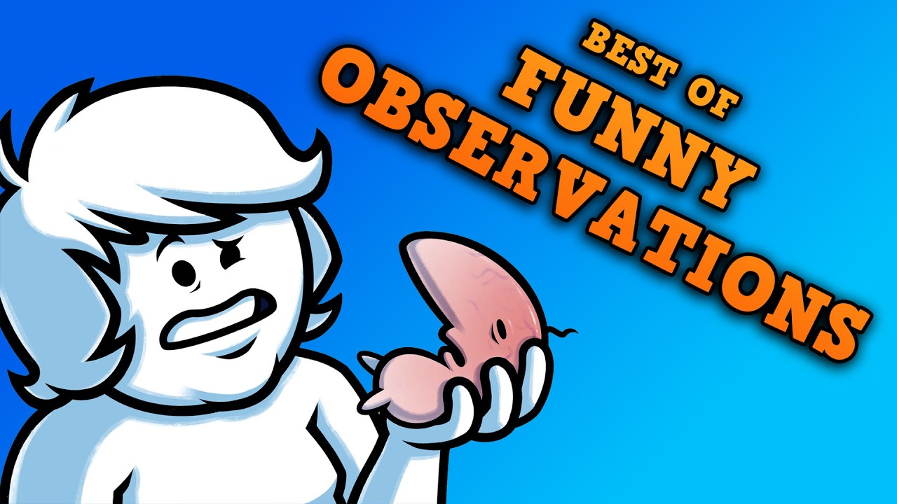 BEST OF FUNNY OBSERVATIONS (Oneyplays compilation)