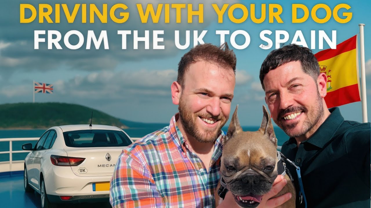 Taking Your Dog from UK to Spain by Car | Brittany Ferries, Pet Travel Tips & Road Trip Guide