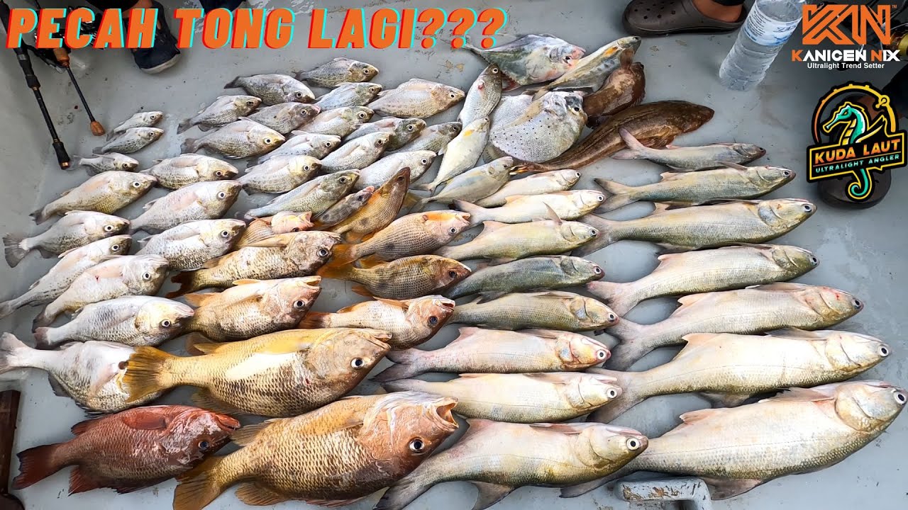 VLOG 310 | TAUK MAKAN ! TAUK MAKAN TAK HENTI-HENTI !