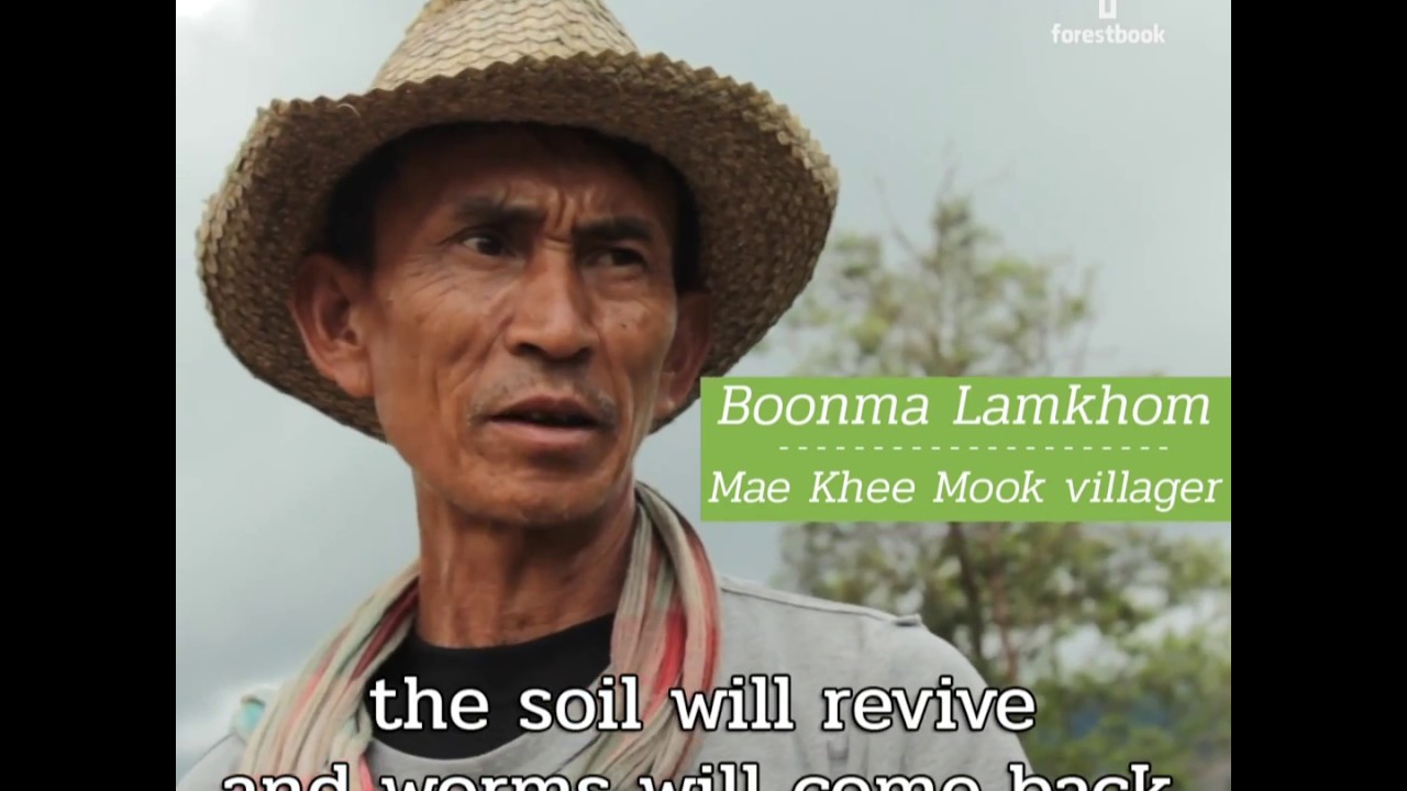 Forestbook : Uncle Boonma (Mae Chaem) [2017]